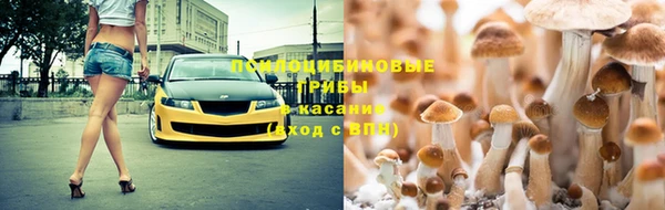 индика Алексеевка