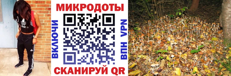 Псилоцибиновые грибы прущие грибы  Купить  Грозный 